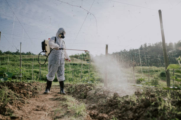 Best Pest Removal Services  in Caledonia, MN