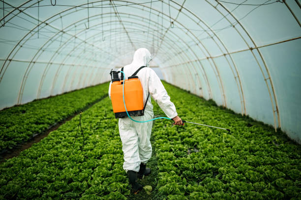 Best Pest Inspection Near Me  in Caledonia, MN