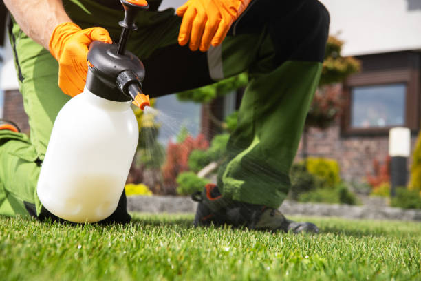Best Affordable Pest Control Services  in Caledonia, MN