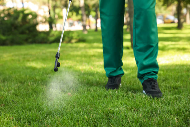 Best Local Pest Control Services  in Caledonia, MN