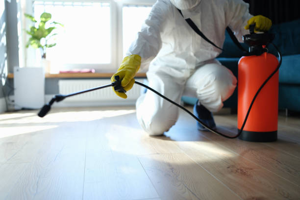 Best Flea Control Services  in Caledonia, MN